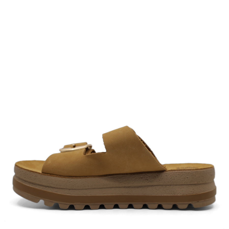 TAN BROWN GOLD BUCKLE TWO STRAP SLIDE SANDAL