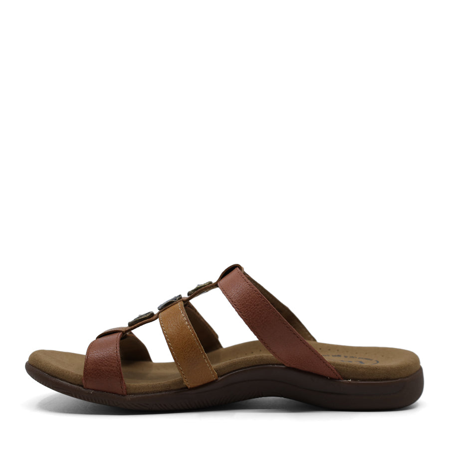 HARVEST BROWN MULTI THREE STRAP VELCRO SLIDE SANDAL