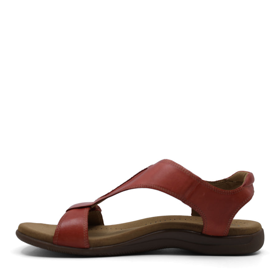 BRUSCHETTA RED T BAR SANDAL