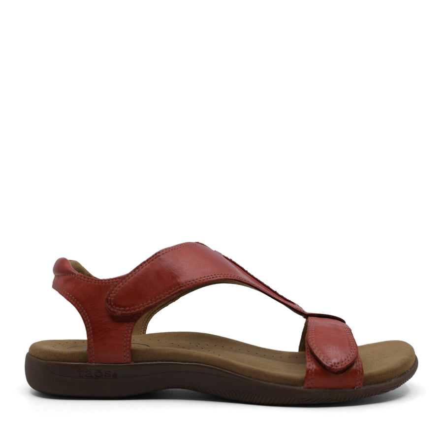 BRUSCHETTA RED T BAR SANDAL