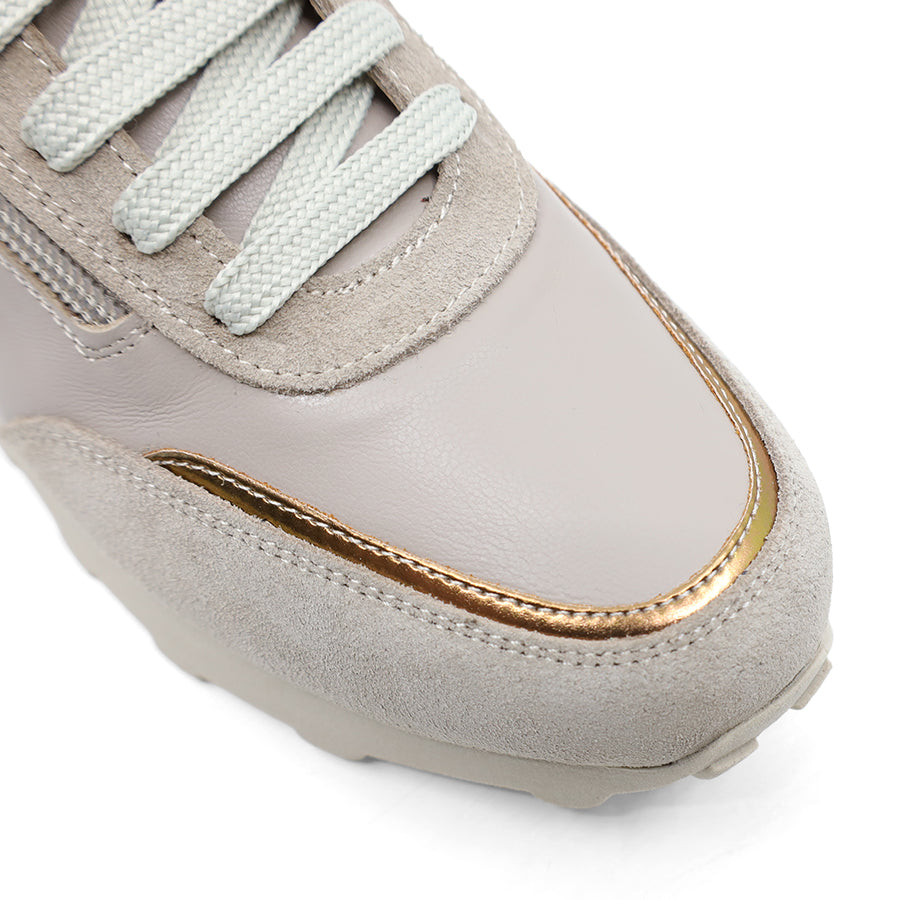 SALA DARK STONE TAUPE GOLD LACE UP ZIP UP SNEAKER